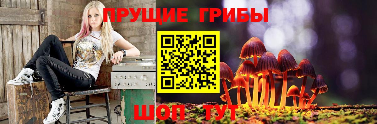 Лобня  Псилоцибиновые грибы Psilocybine cubensis  Вход с VPN 